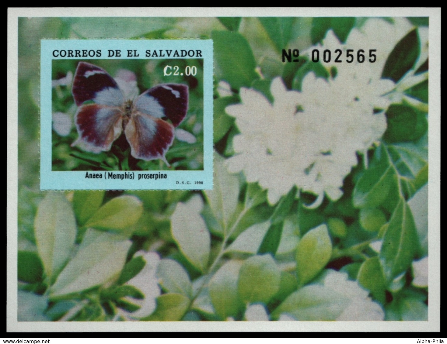 El Salvador 1990 - Mi-Nr. Block 46 ** - MNH - Schmetterlinge / Butterflies - El Salvador