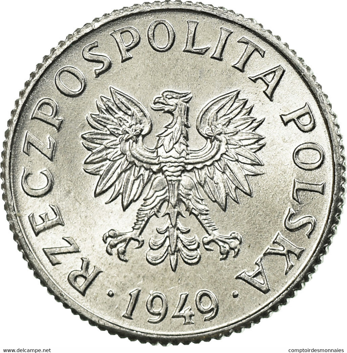 Monnaie, Pologne, Grosz, 1949, SUP, Aluminium, KM:39 - Grèce