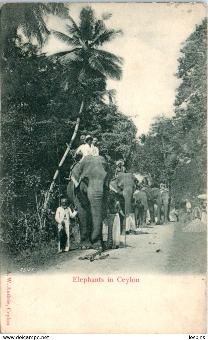 ASIE - SRI LANKA ( CEYLON ) -- Elephants - Sri Lanka (Ceylon)