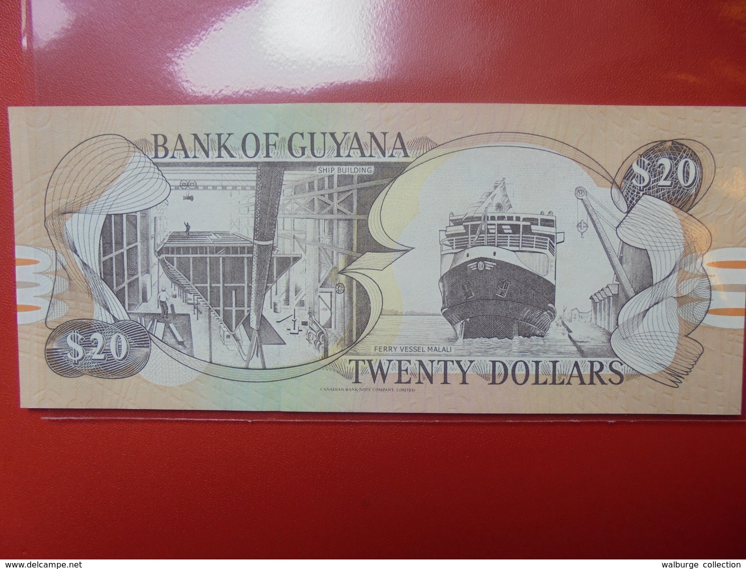 GUYANE 20$ 1996 PEU CIRCULER/NEUF - Guyana