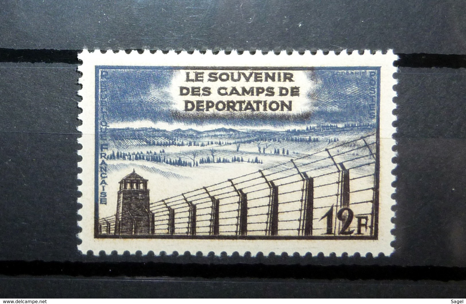 FRANCE 1955 N°1023 ** (LE SOUVENIR DES CAMPS DE DÉPORTATION. 12F BRUN-NOIR ET GRIS-BLEU) - Ungebraucht