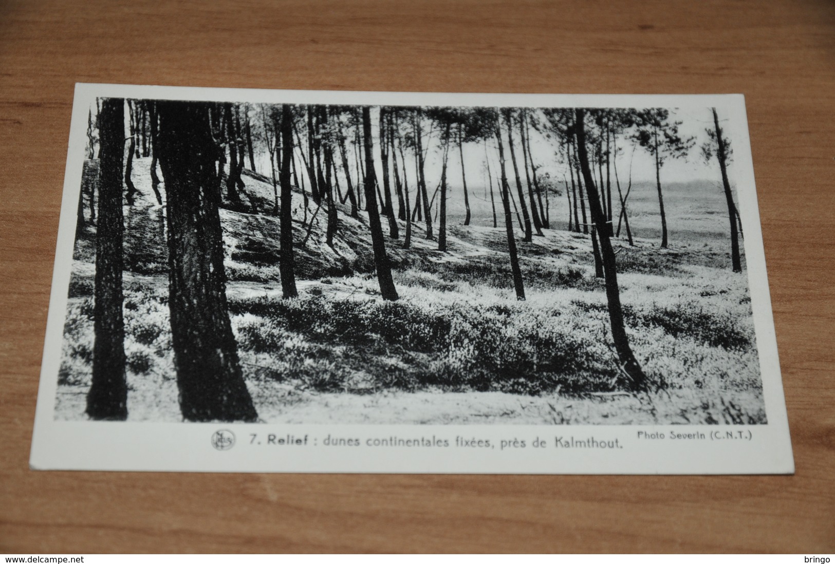 9582-      LES PAYSAGES BELGES, LA CAMPINE, KALMTHOUT - Kalmthout