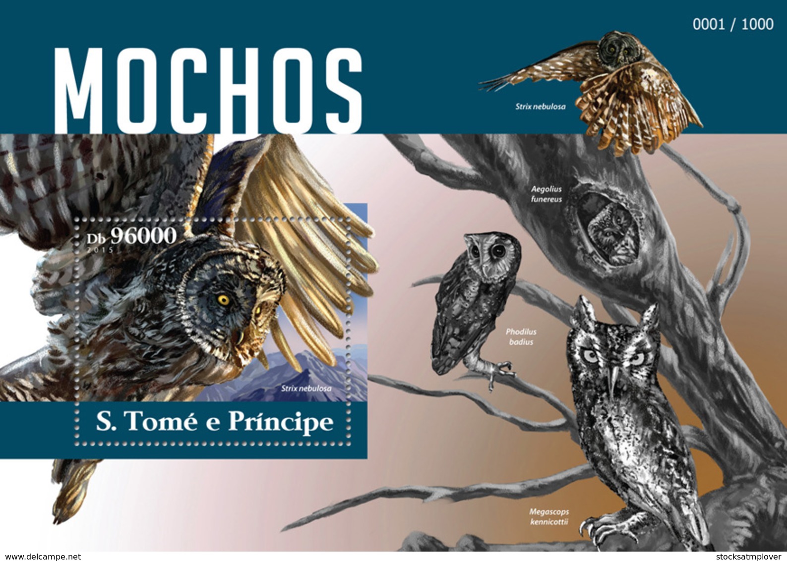 Sao Tome  2015  Fauna Owls - Sao Tome And Principe