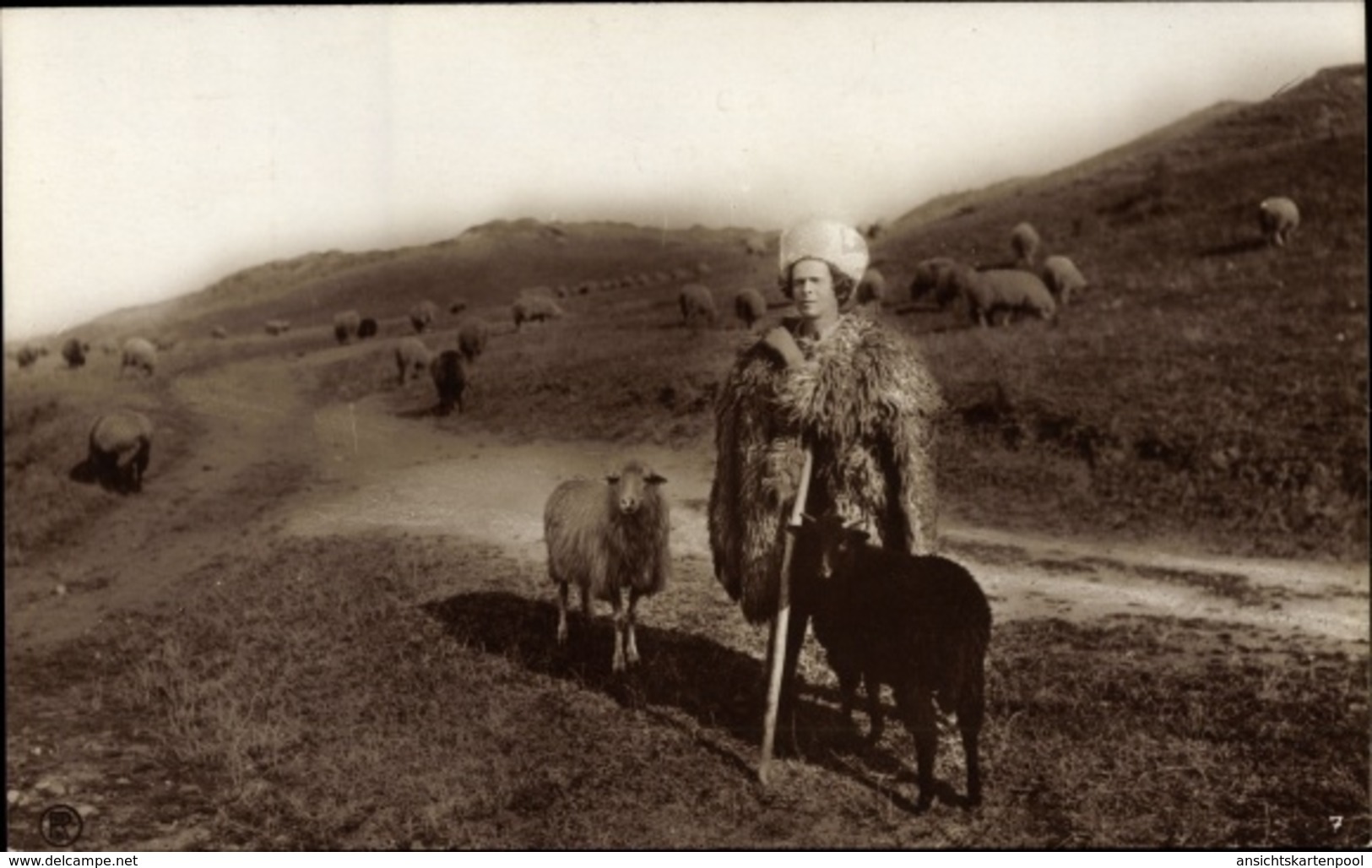 Cp Rumänien, Rumänischer Schäfer, Hirte Mit Schafherde - Romania