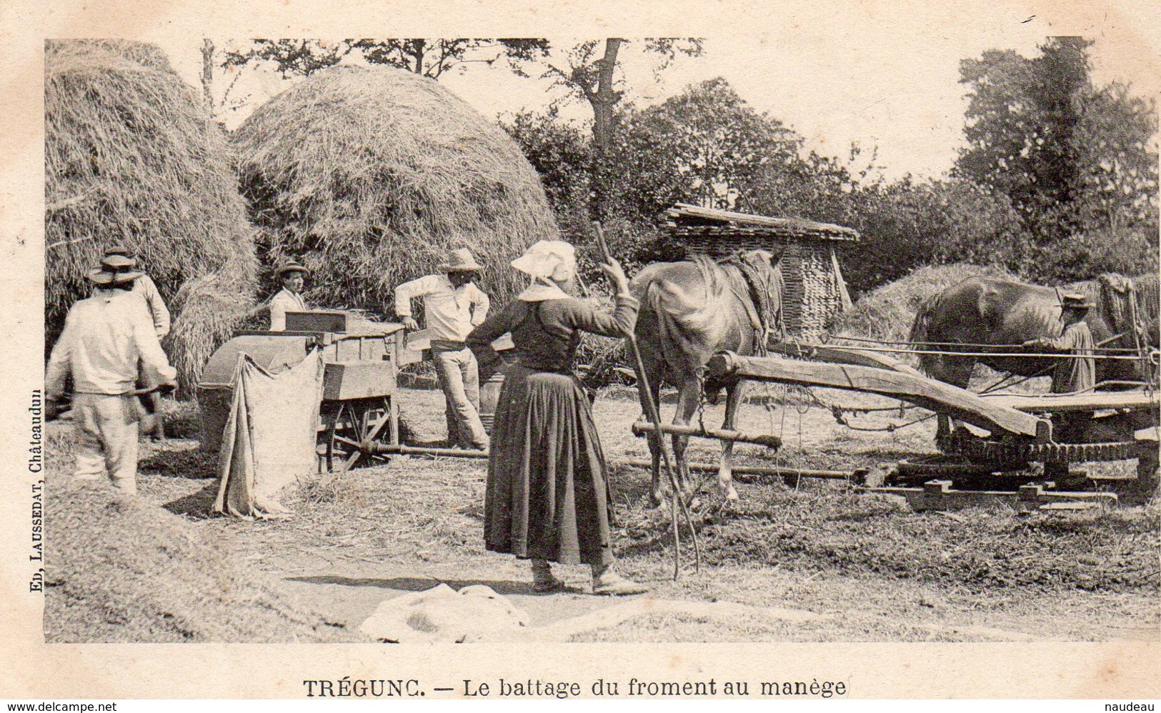 TREGUNC (29) Battage Du Froment Au Manège - Trégunc