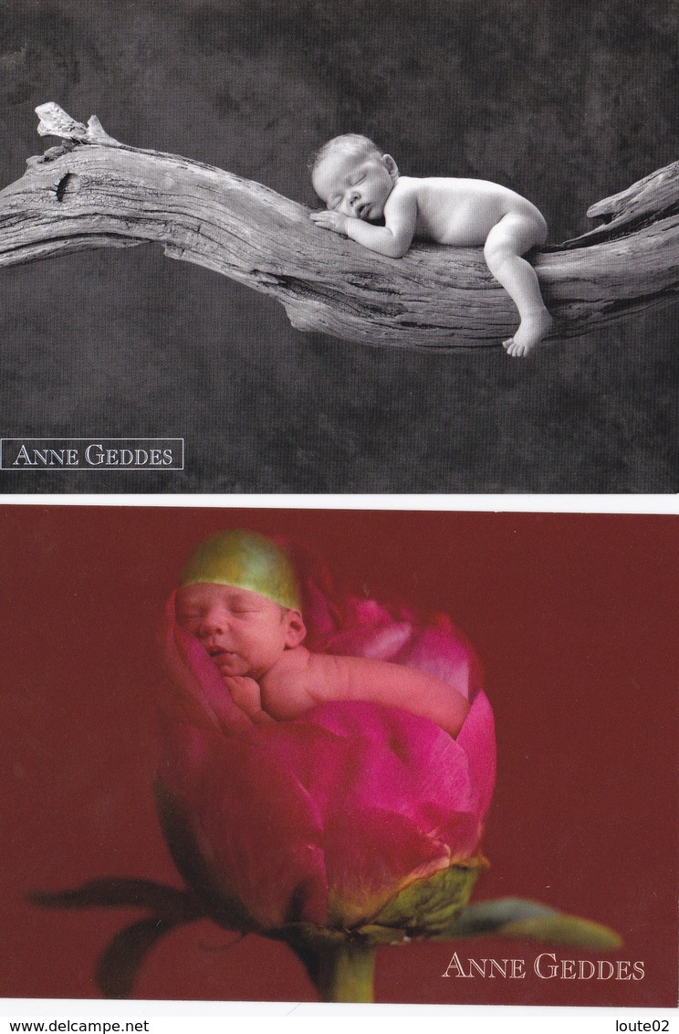 21 Cartes    Anne Geddes - 5 - 99 Postcards