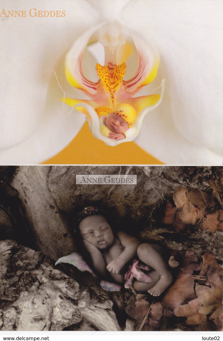 21 cartes    anne geddes