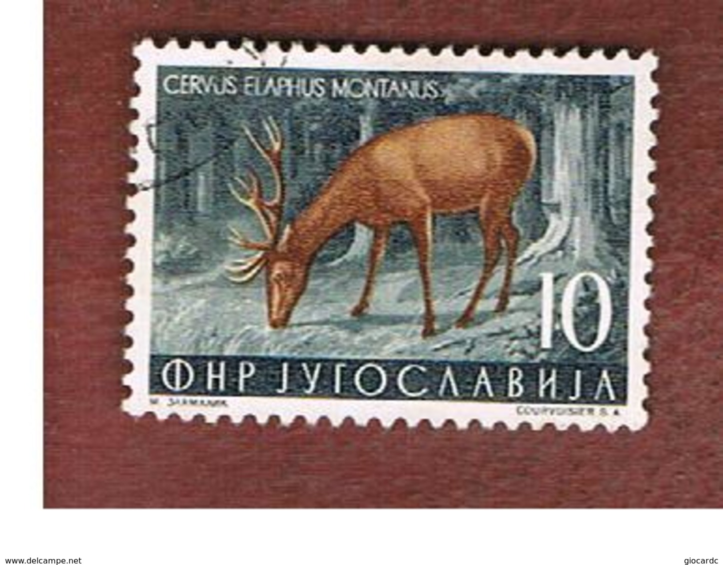 JUGOSLAVIA (YUGOSLAVIA)   - SG 767 -    1954  ANIMALS: CERVUS ELAPHUS    -   USED - Usati