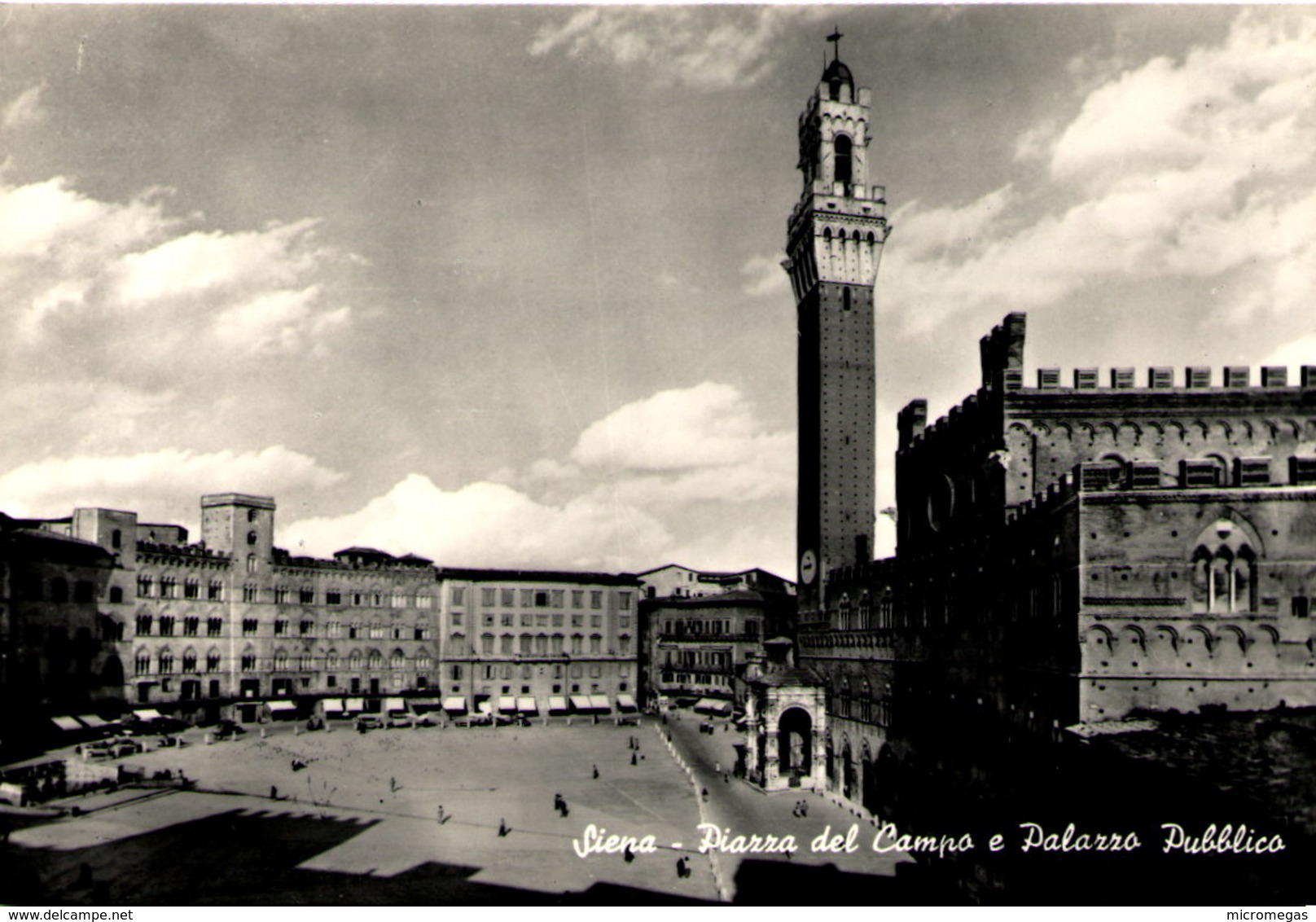 SIENA - Piazza Del Campo E Palazzo Pubblico - Siena