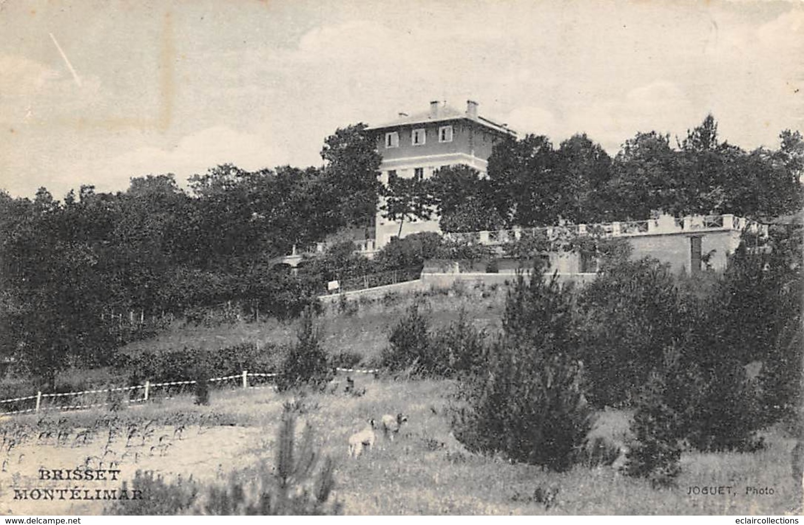 Montélimar     26    Villa Brisset   (Voir Scan) - Montelimar