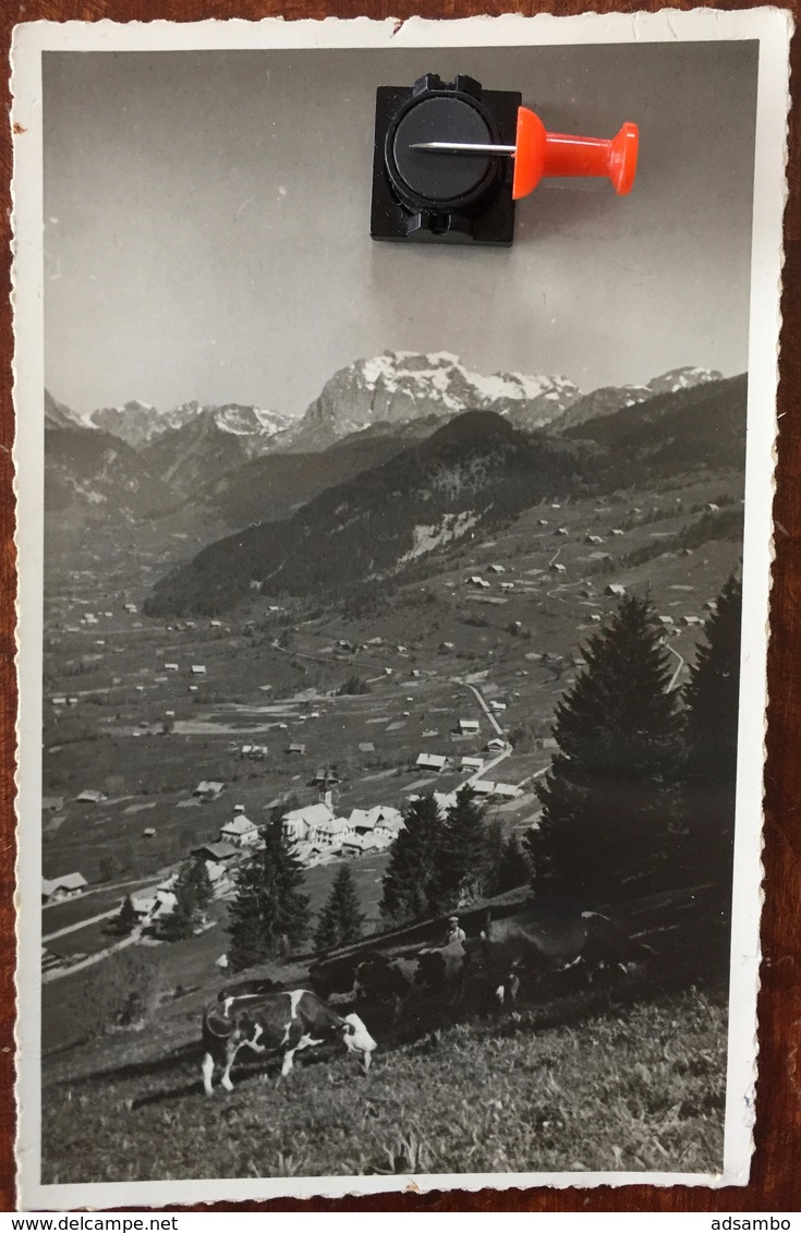 CHÂTEL. Vue Générale. - Châtel