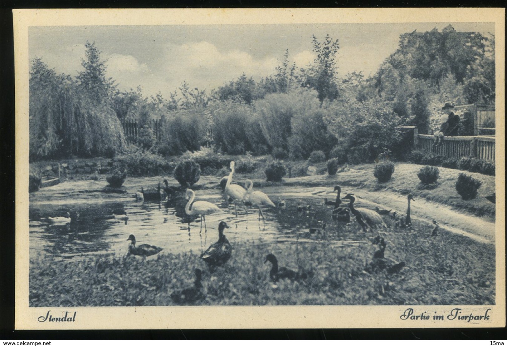 Stendal Partie Im Tierpark Photo Bohn - Stendal