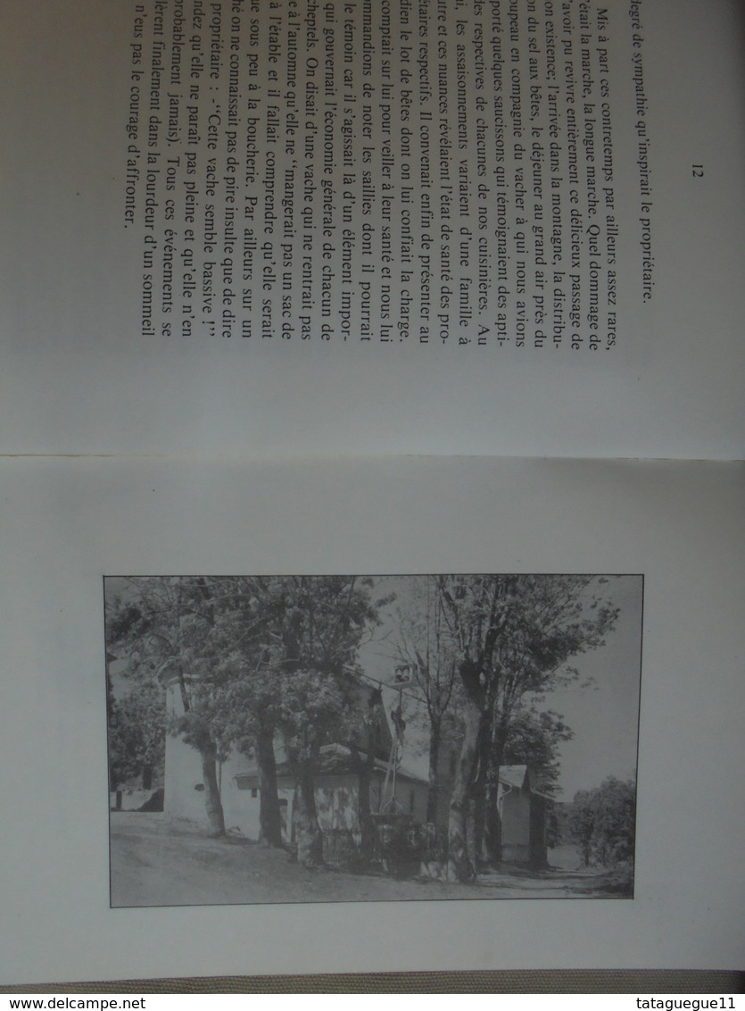 Ancien Livre Ma Terre En Friche Yves André CAUSSE Espezel Aude 1982 - Languedoc-Roussillon