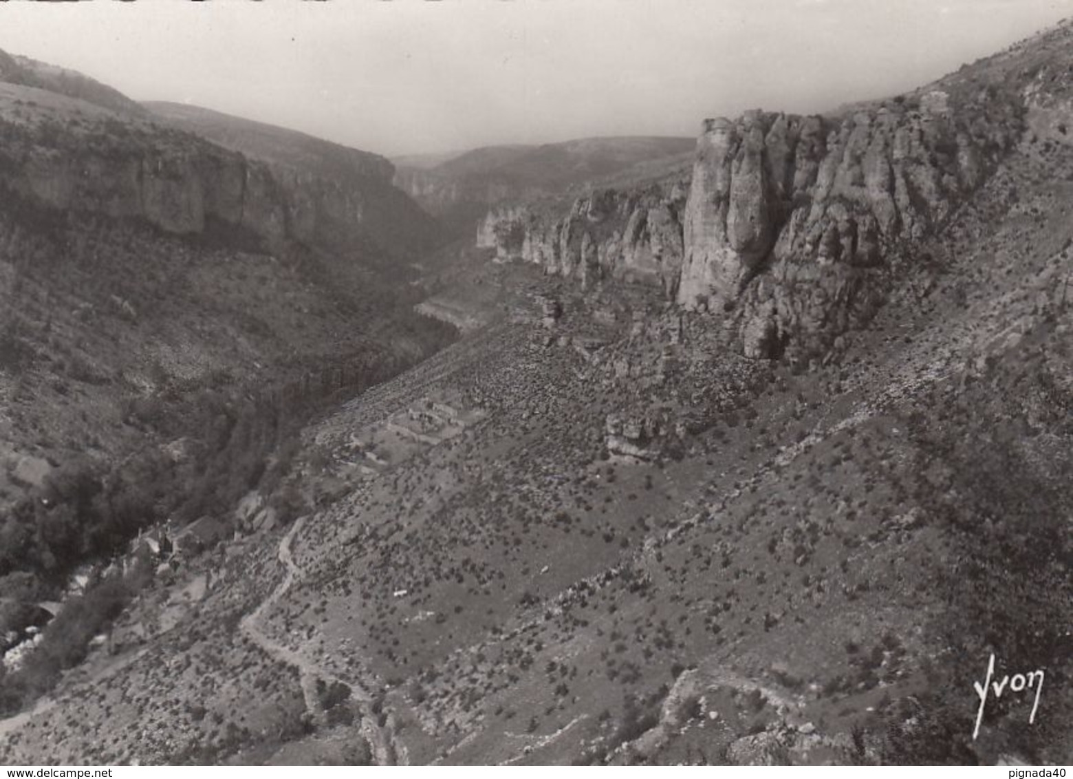 Cp , 48 , LES GORGES DU TARN , Canyon De La Jonte - Gorges Du Tarn