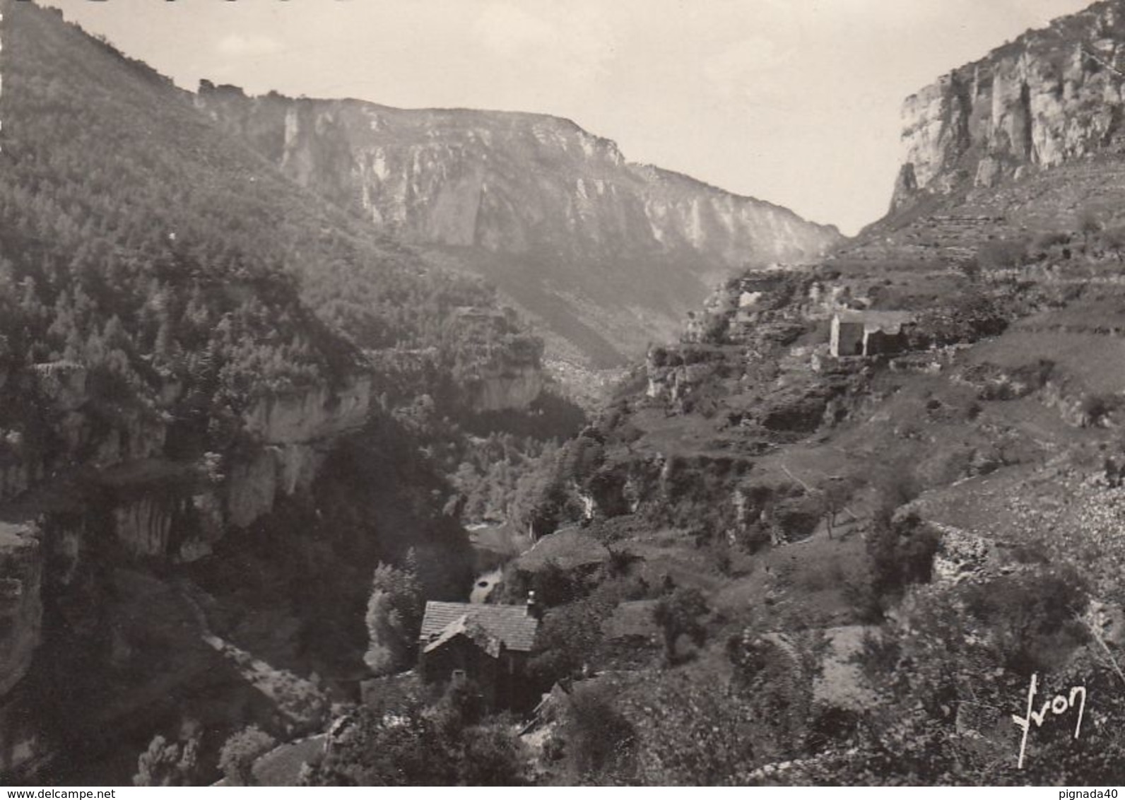 Cp , 48 , LES GORGES DU TARN , Canyon De La Jonte, Vue Prise Du Belvédère Des Terrasses - Gorges Du Tarn