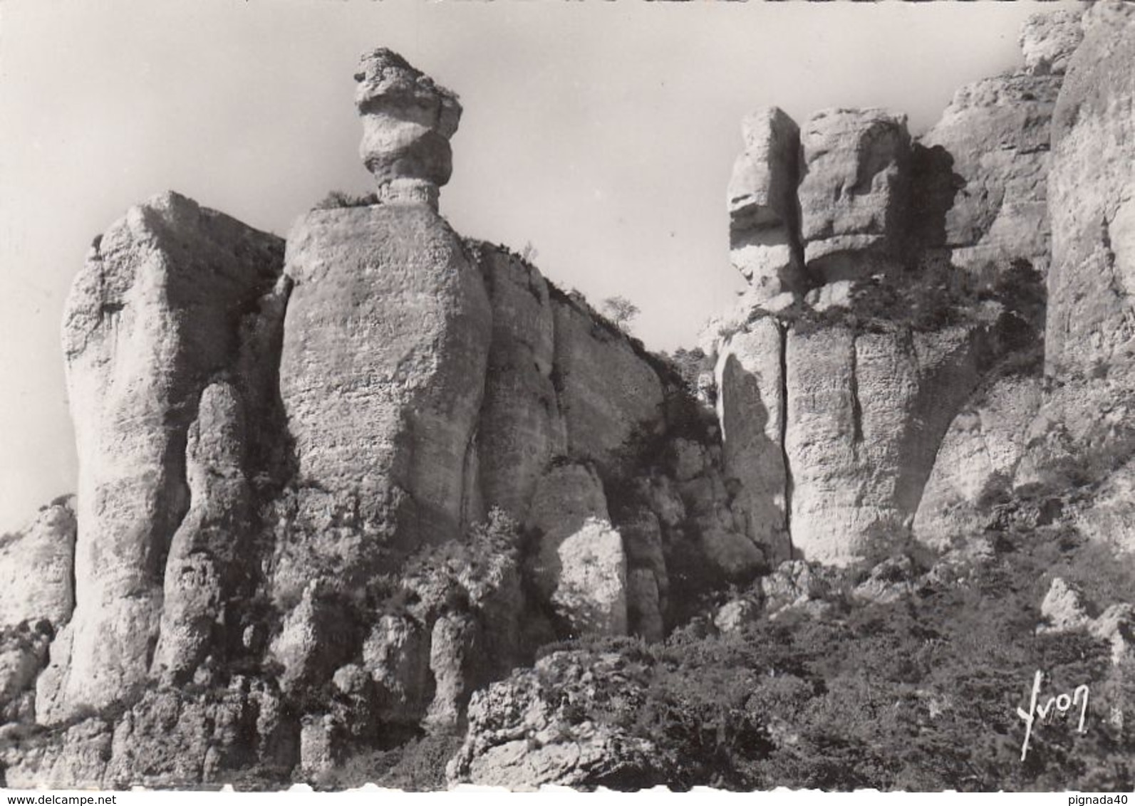 Cp , 48 , LES GORGES DU TARN , Canyon De La Jonte, Corniche Du Causse Méjean, Vases De Chine Et De Sèvres - Gorges Du Tarn