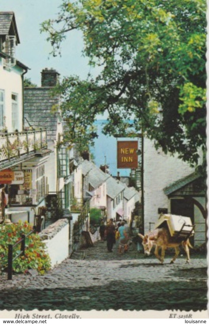 19 / 5 / 166 -  CLOVELLY  ( DEVON ). HIGH  STEET    - COSM - Clovelly