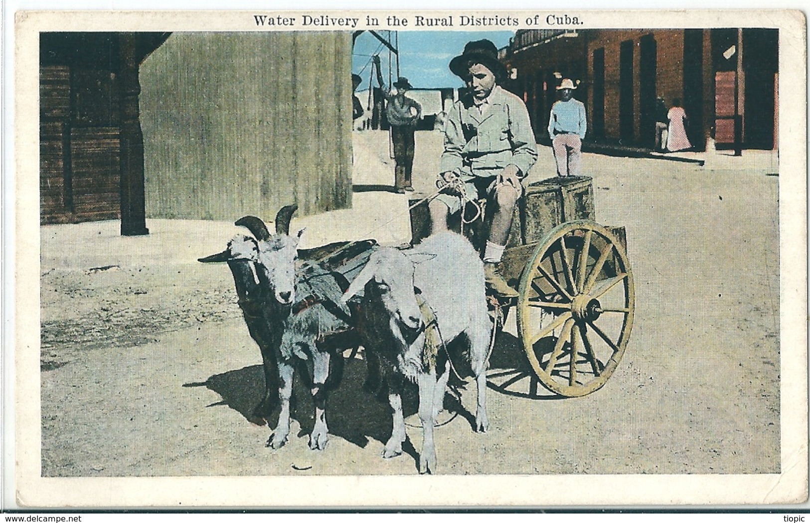 Superbe Cpa Couleur De CUBA  -    Water Delivery In The Rural Distriets  ( Attelage  Chevres ) - Autres & Non Classés