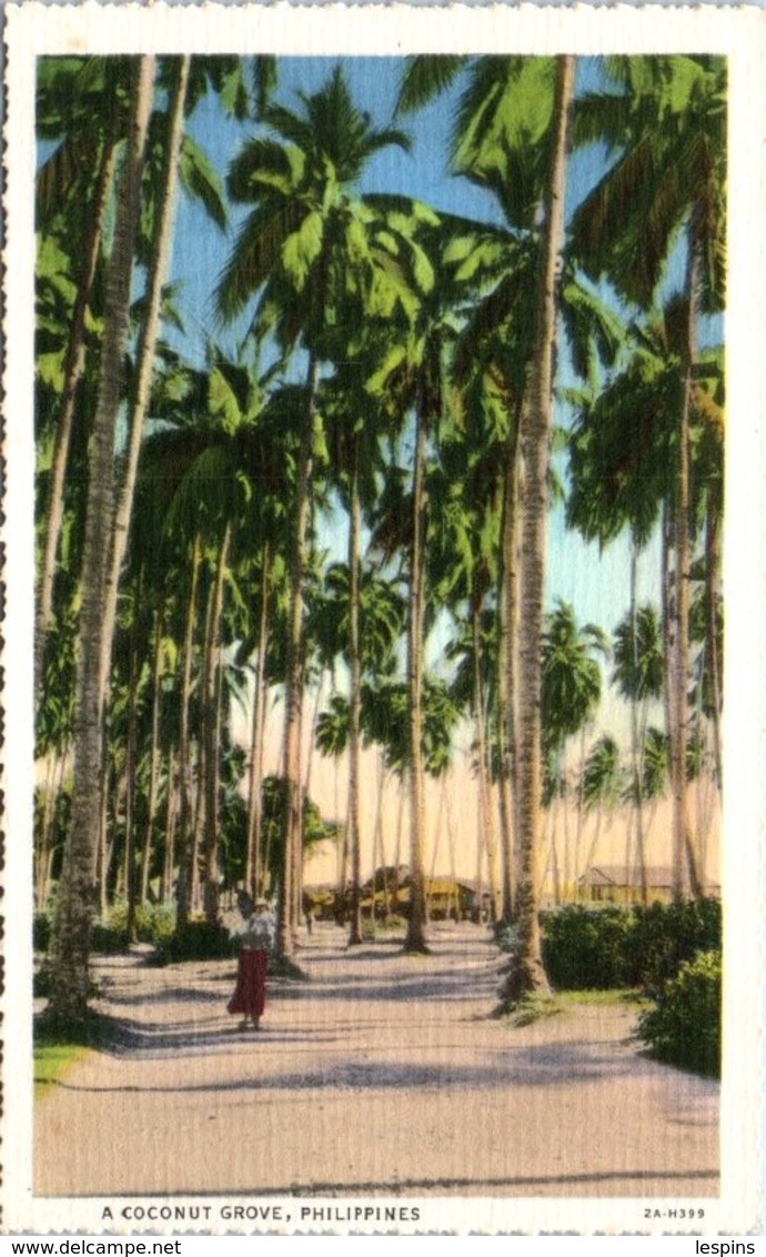 ASIE - PHILIPPINES - A Coconut Grove - Philippinen