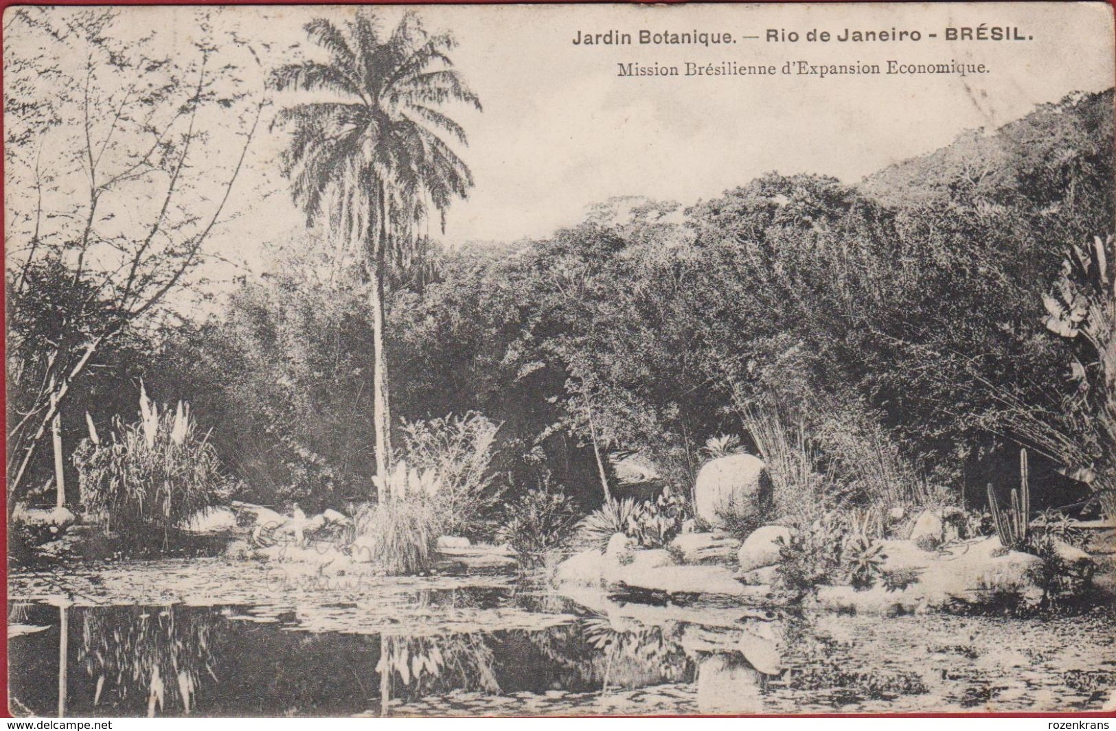 Bresil Brazil Brasil Rio De Janeiro - Jardin Botanique Mission Bresilienne D' Expansion Economique Brazilie - Rio De Janeiro