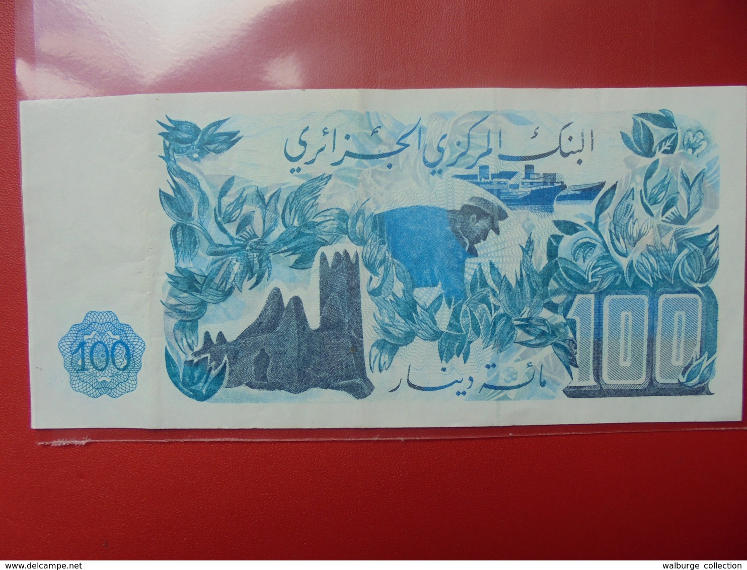 ALGERIE 100 DINARS 1981 PEU CIRCULER - Algerien