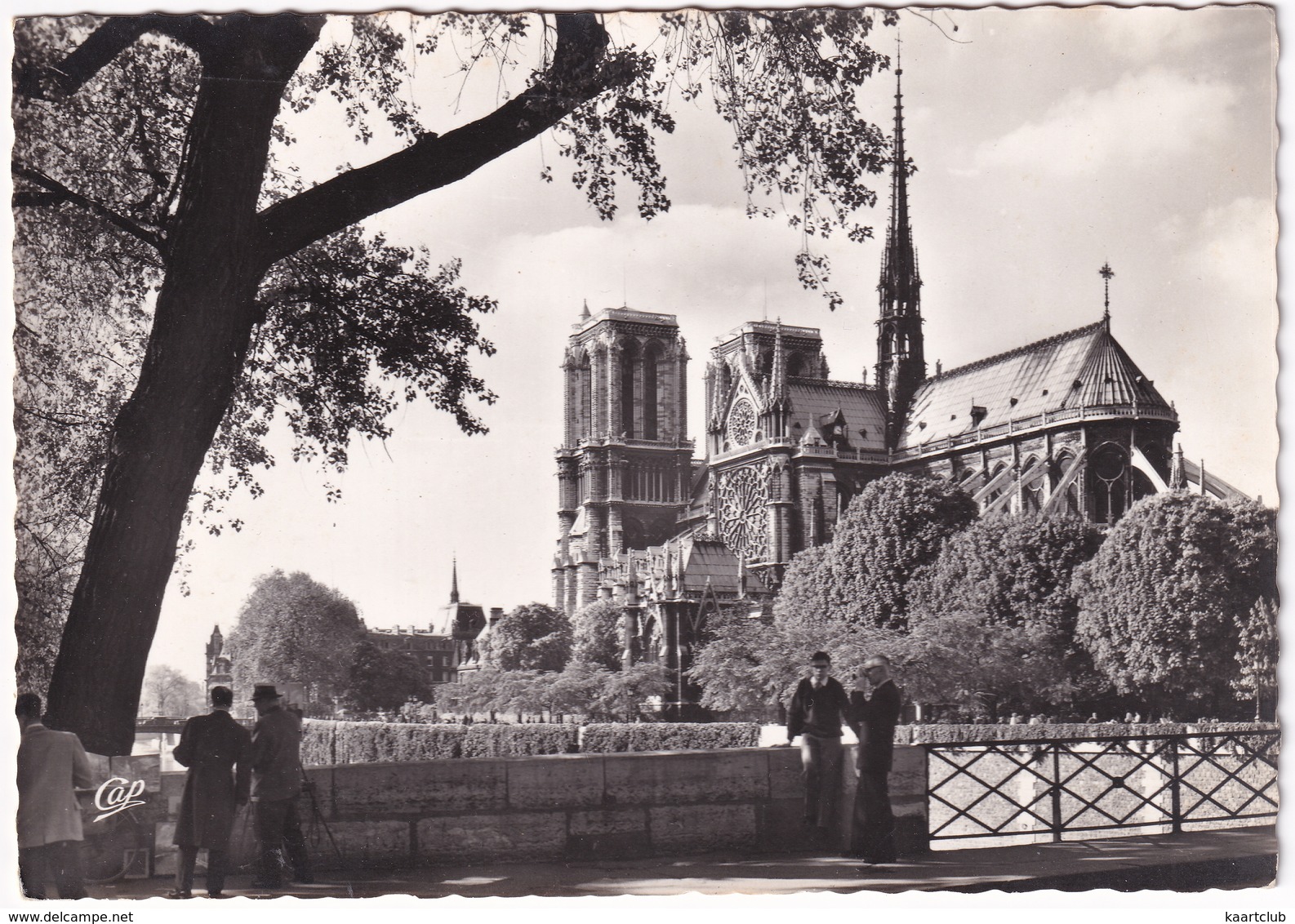 Paris - Emergeant Des Jardins De L'Archevèché, La Cathédrale Notre-Dame - Notre-Dame De Paris