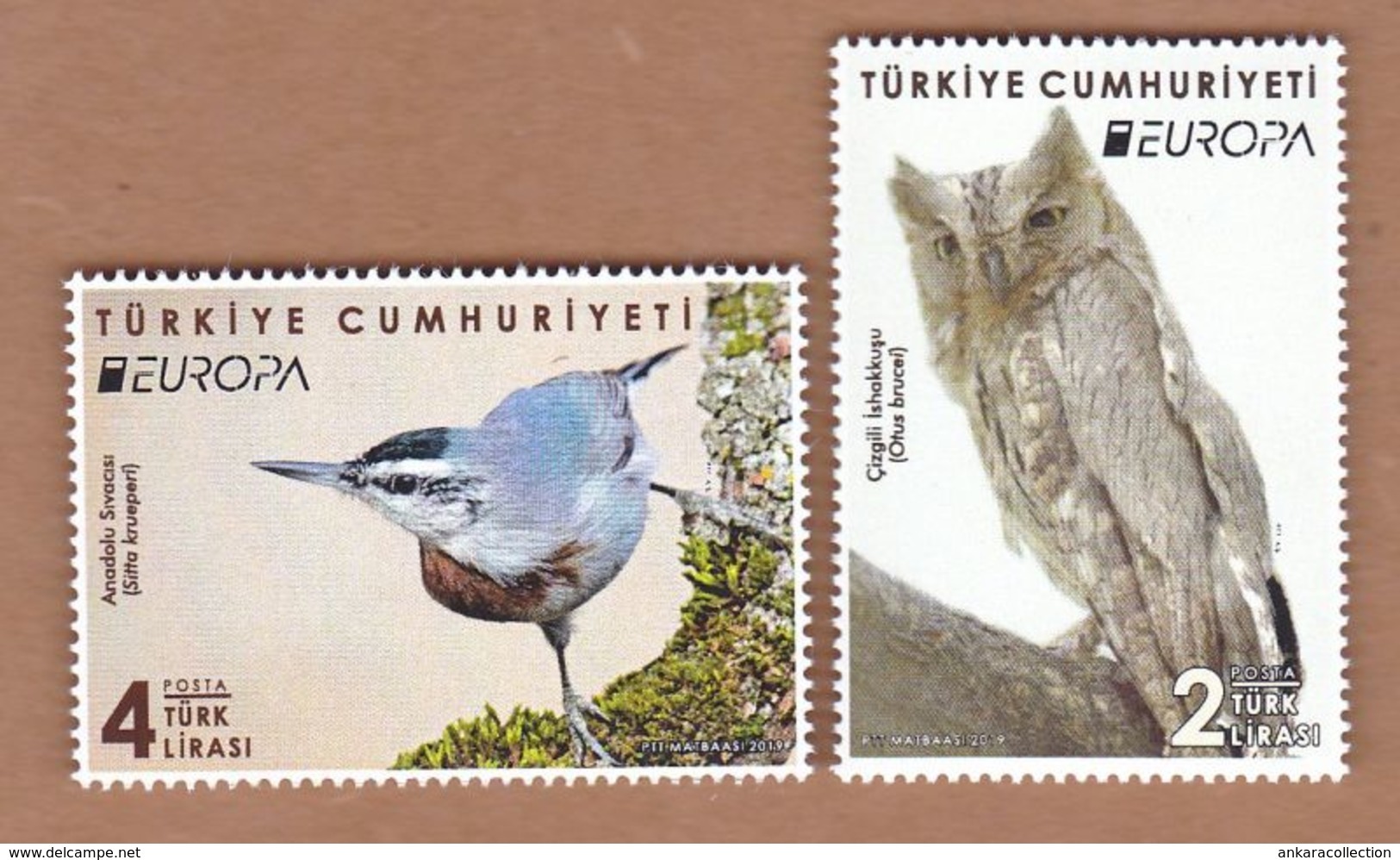 AC - TURKEY STAMP - EUROPA ( CEPT ) 2019 NATIONAL BIRDS KRUEPER'S NUTHATCH - PALLID SCOPS OWL MNH 09 MAY 2019 - Nuovi