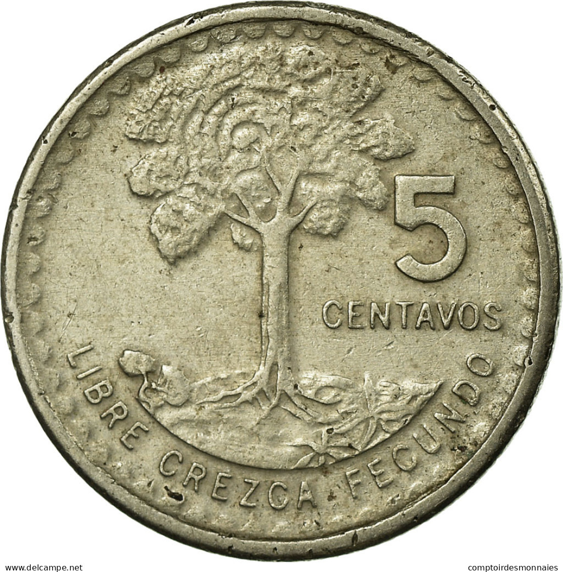 Monnaie, Guatemala, 5 Centavos, 1974, TTB, Copper-nickel, KM:270 - Guatemala