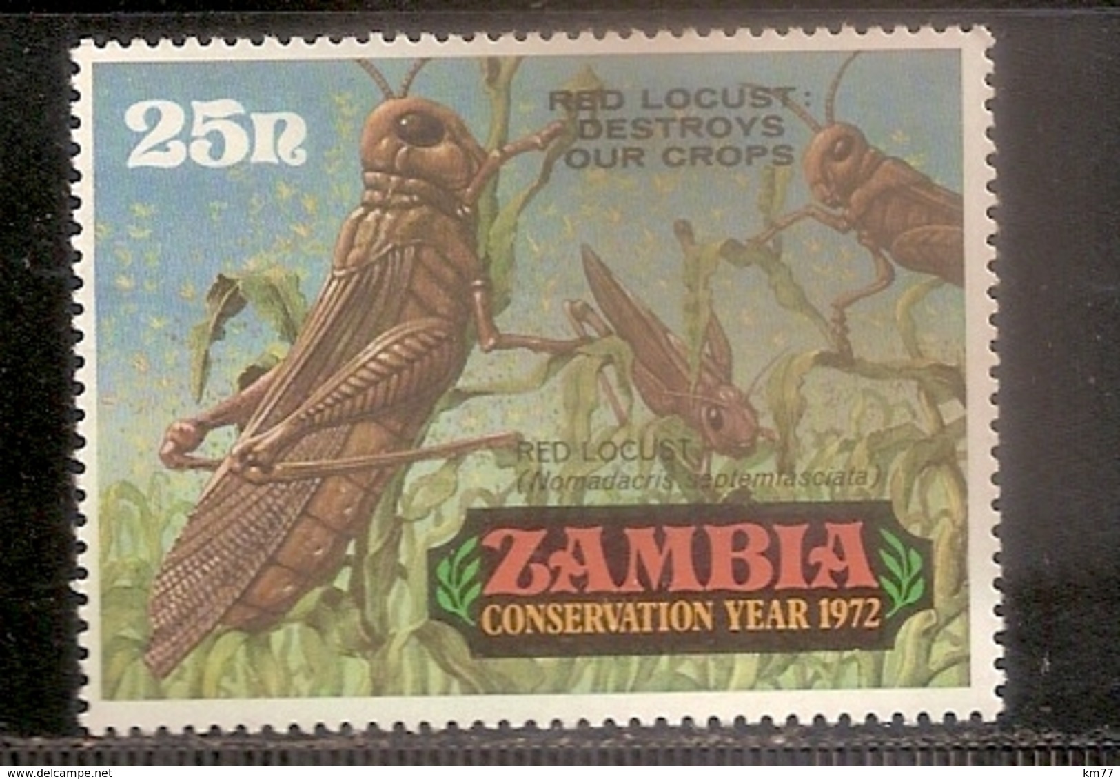 ZAMBIE NEUF SANS TRACE DE CHARNIERE - Zambie (1965-...)