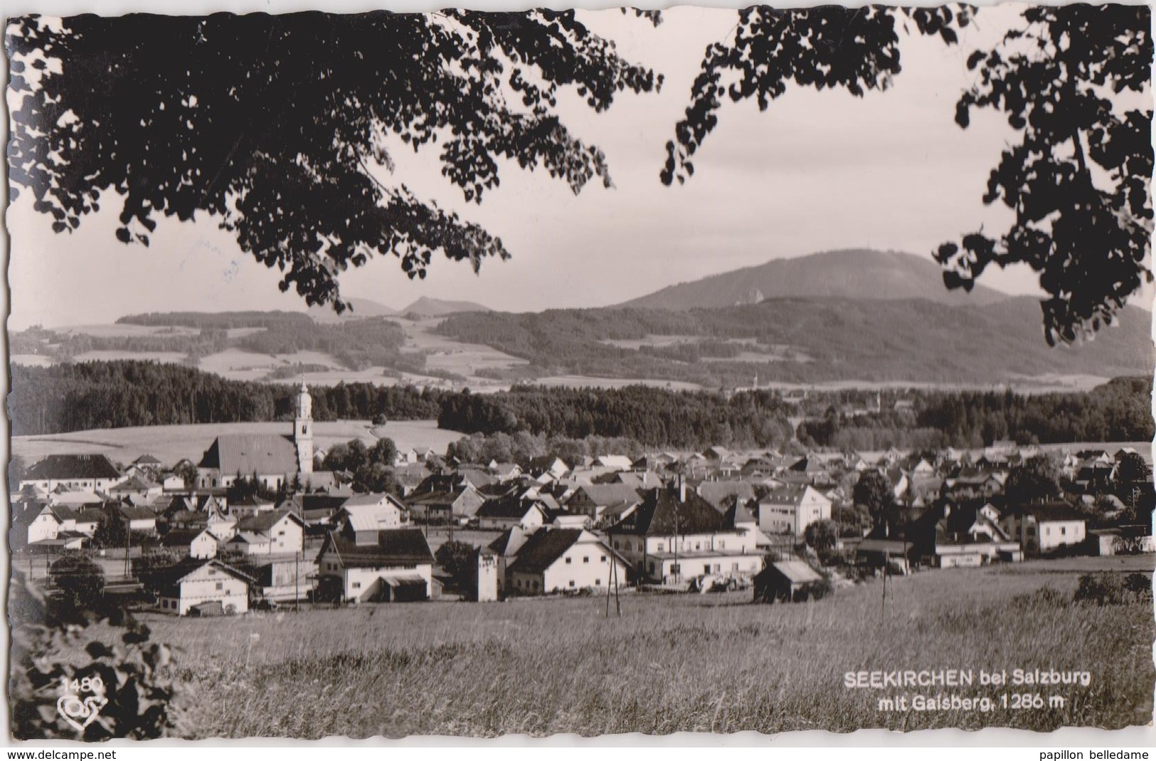 Autriche  SEEKIRCHEN Bei Salzburg - Seekirchen Am Wallersee