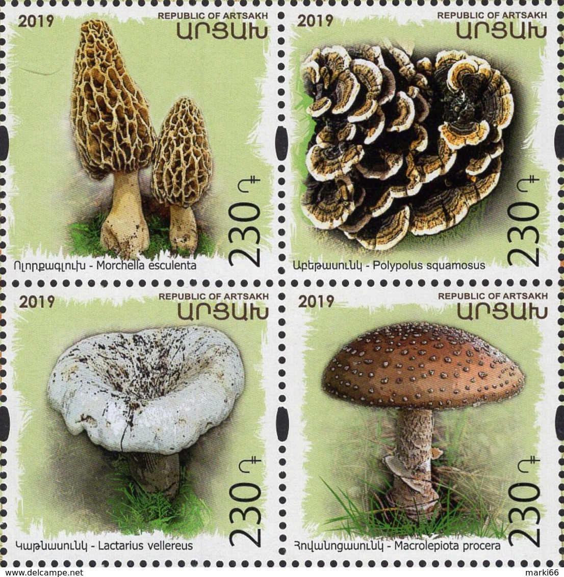 Armenia - Nagorno-Karabakh - 2019 - Mushrooms - Preservation Of Wildlife - Mint Stamp Set - Arménie