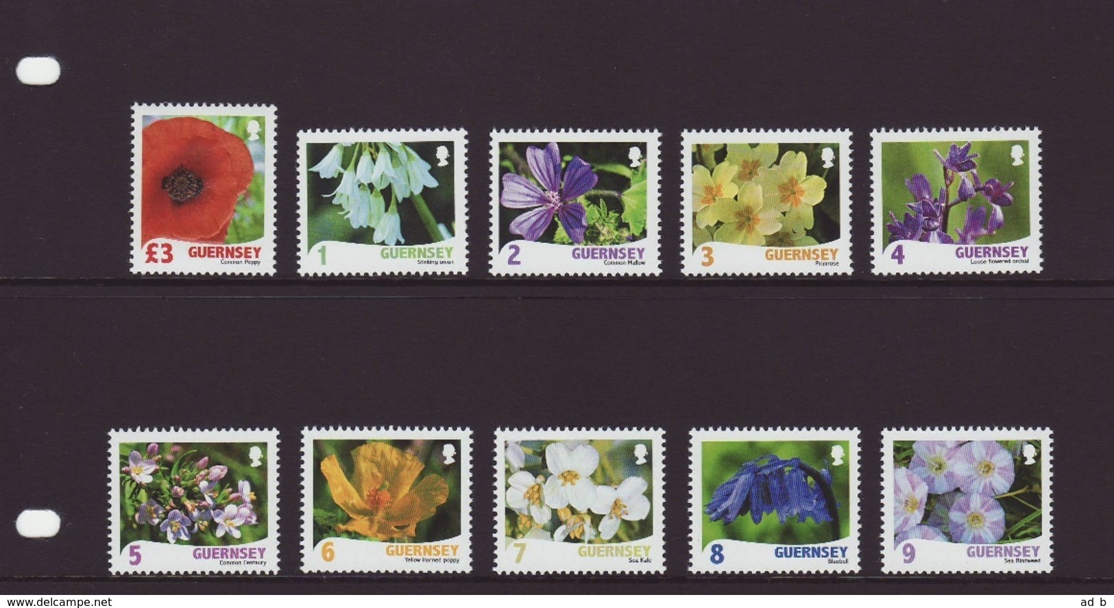 Raymond Evison's Wild Flora. Presentation Packs With 2008 & 2009 Stamp Sets - Altri & Non Classificati