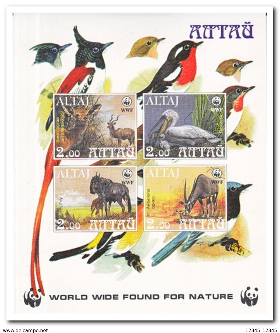Altaj, Postfris MNH, Birds, WWF, Animals - Sibérie Et Extrême Orient
