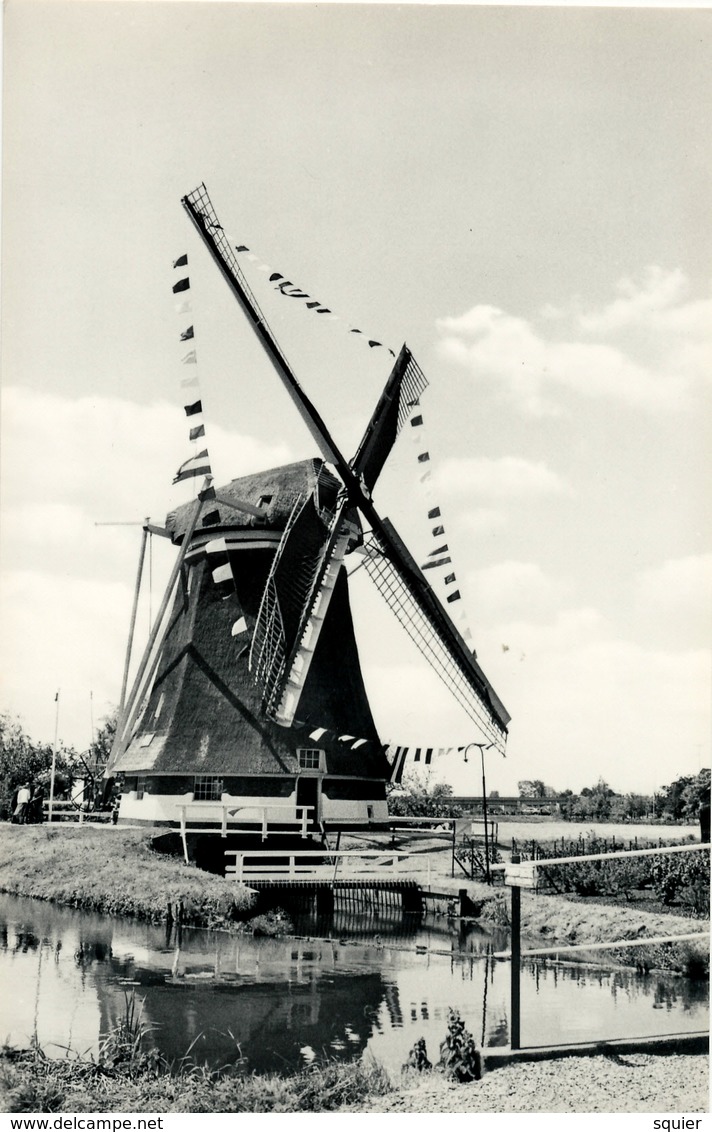 Westbroek, Poldermolen, Windmill, Real Photo J.L.J.Versteeg - Maarssen