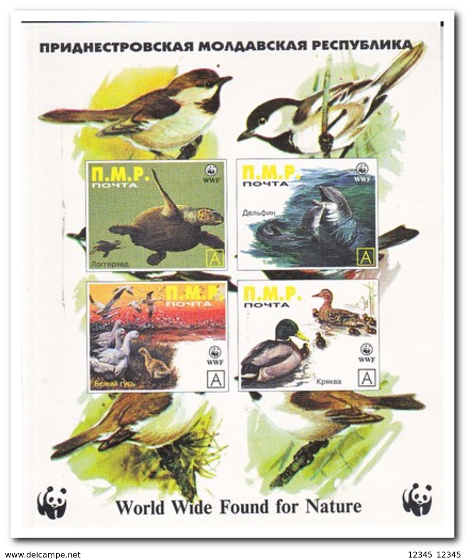 N.M.P., Postfris MNH, Birds, WWF, Animals - Sibirien Und Fernost