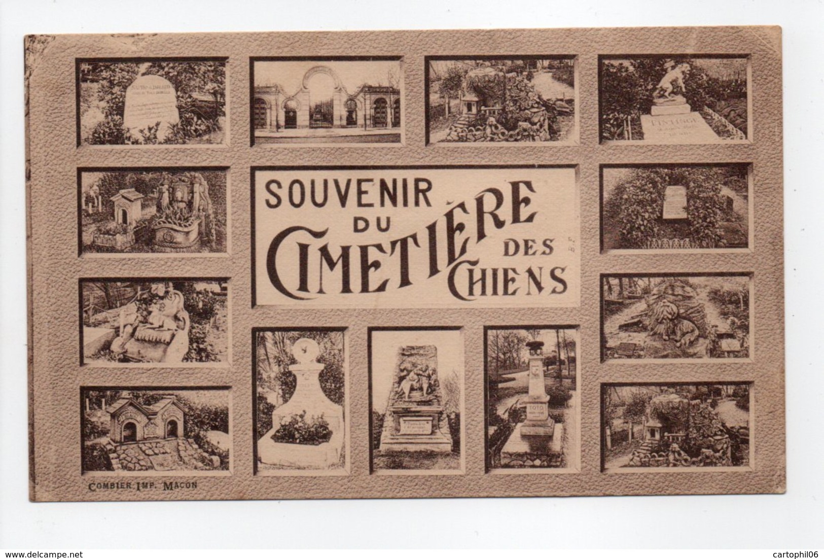 - CPA ASNIÈRES (92) - Souvenir Du Cimetière Des Chiens - Photo COMBIER - - Asnieres Sur Seine