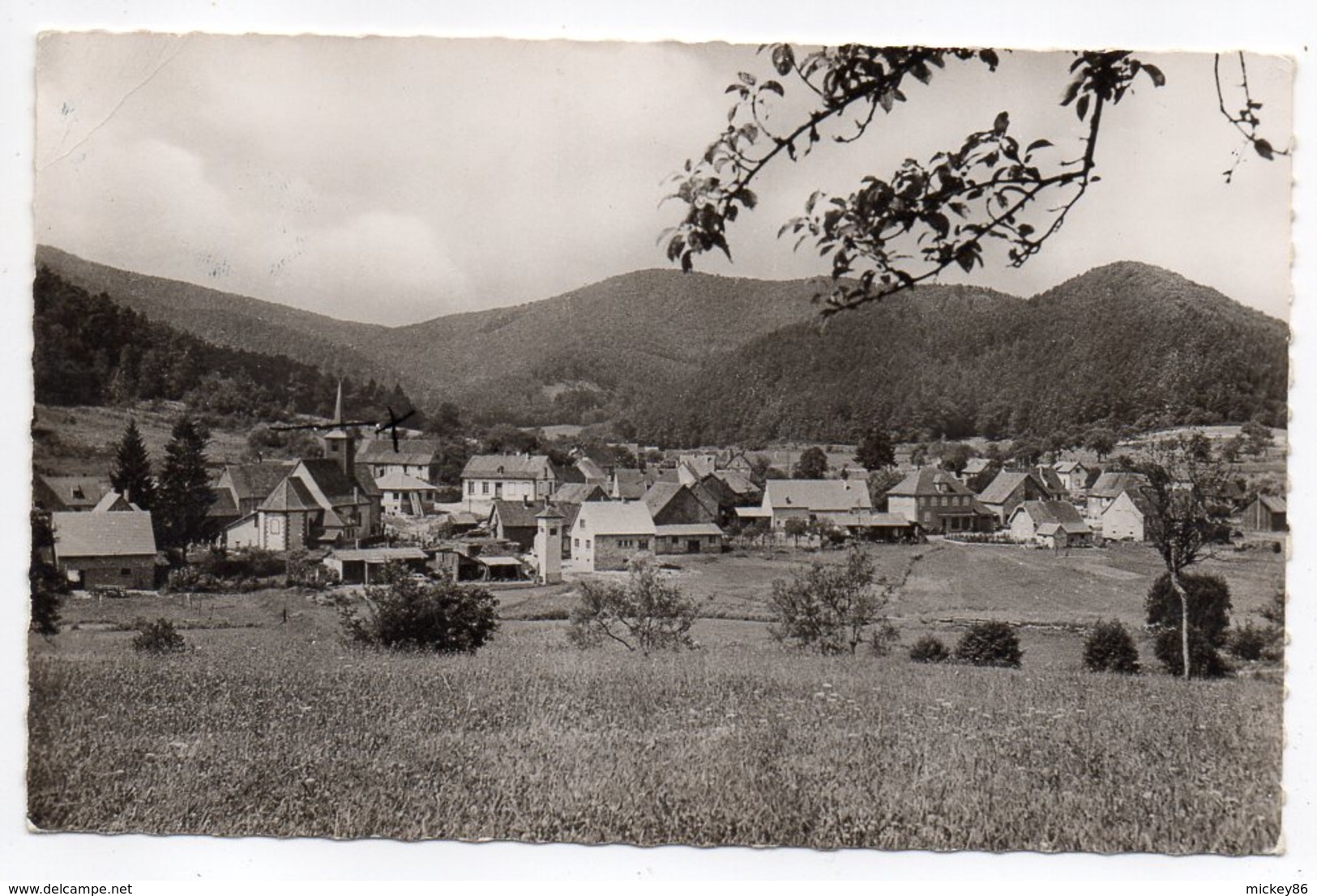 DAMBACH-- Vue Générale ......à Saisir - Dambach-la-ville