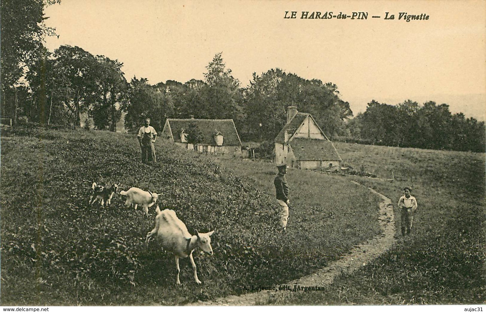 Dép 61 - Animaux - Chèvres - Chèvre - Goat - Hippisme - Haras - Le Haras Du Pin - La Vignette - état - Autres & Non Classés