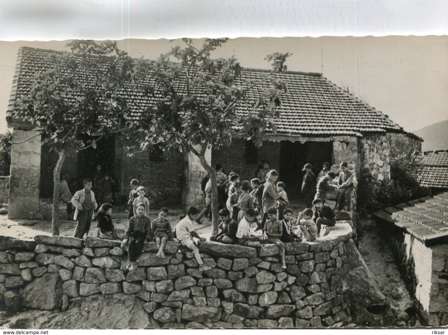 ALGERIE(IGRAINE) ECOLE - Autres & Non Classés