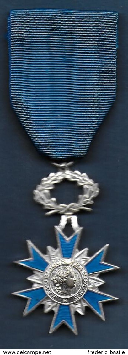 Ordre National Du Mérite  ( En Argent 1er Titre ) - France