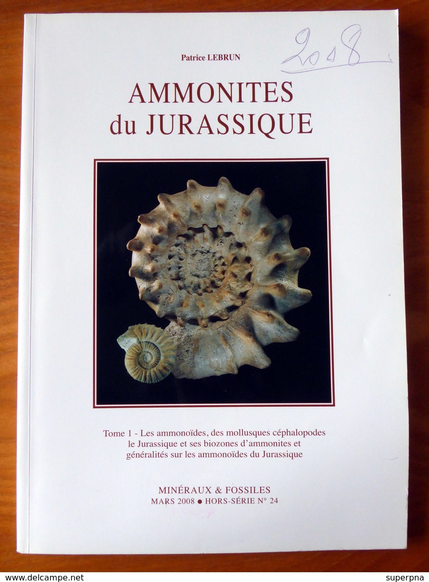" AMMONITES Du JURASSIQUE " : Coll. " MINERAUX & FOSSILES " Hors-Série N° 24 (2008) - Wissenschaft