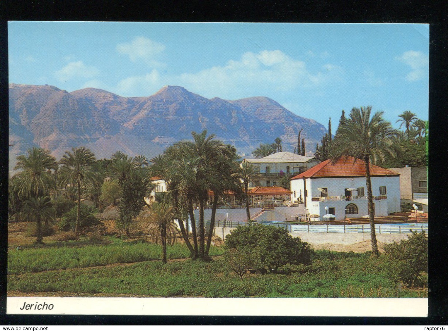 CPM Neuve Palestine JERICHO View To Mt. Of Temptation - Palestine