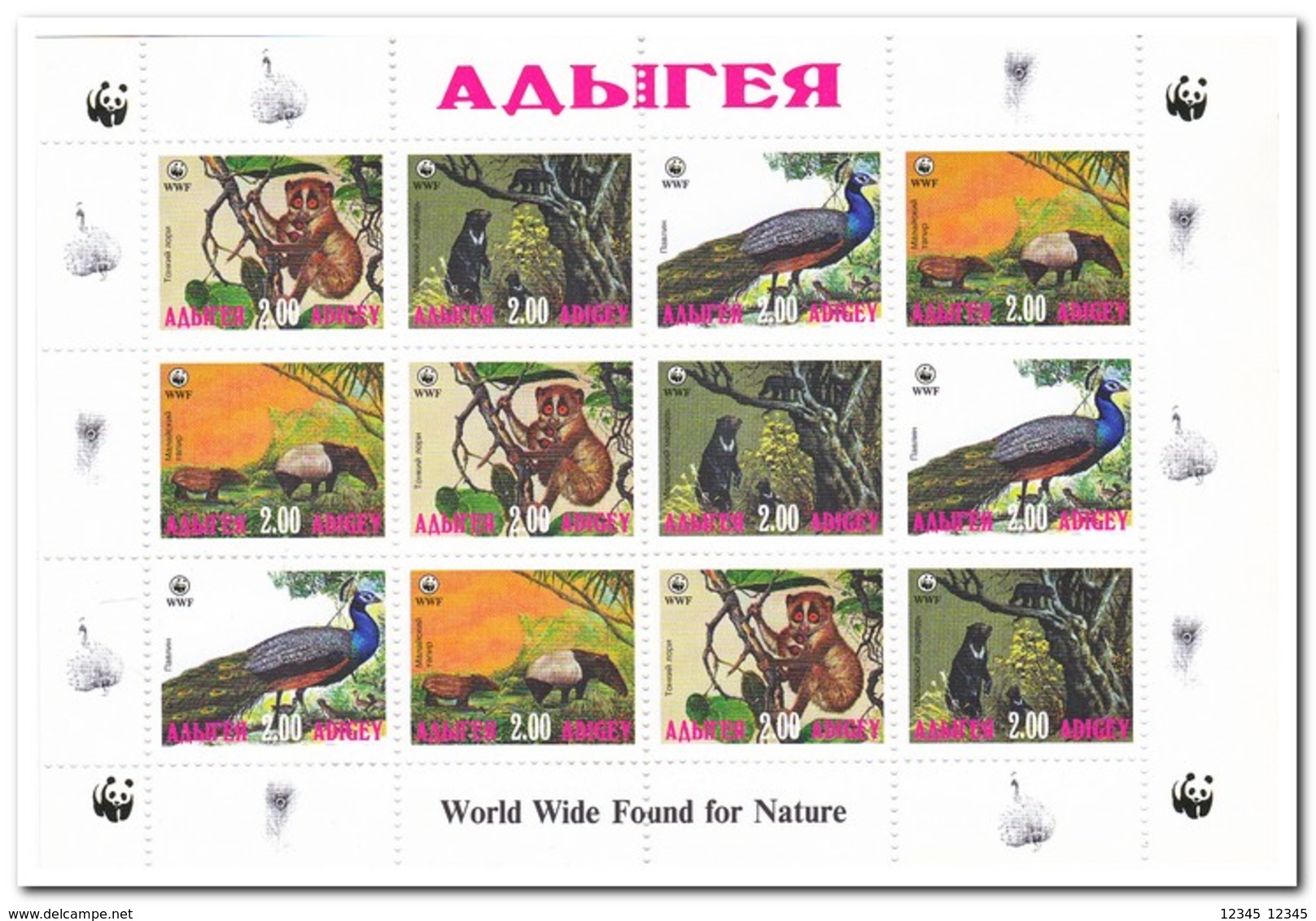 Adigey, Postfris MNH, Birds, WWF, Animals - Andere & Zonder Classificatie