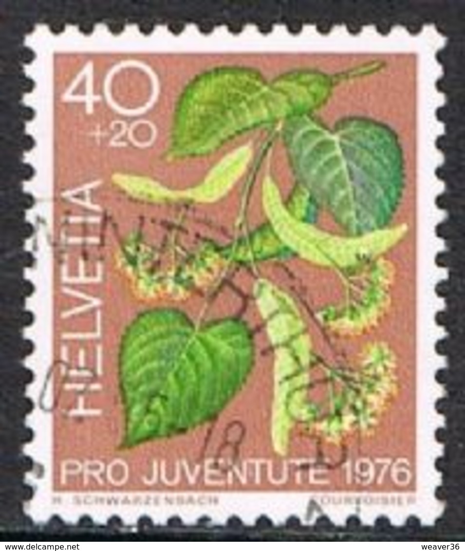 Switzerland SG J255 1976 Pro Juventute 40c+20c Good/fine Used [17/15707/7D] - Used Stamps