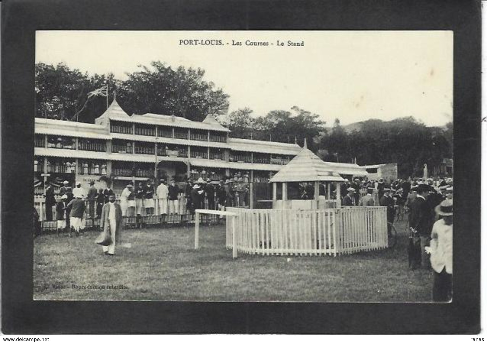 CPA Ile Maurice Mauritius Non Circulé Les Courses Horse - Maurice