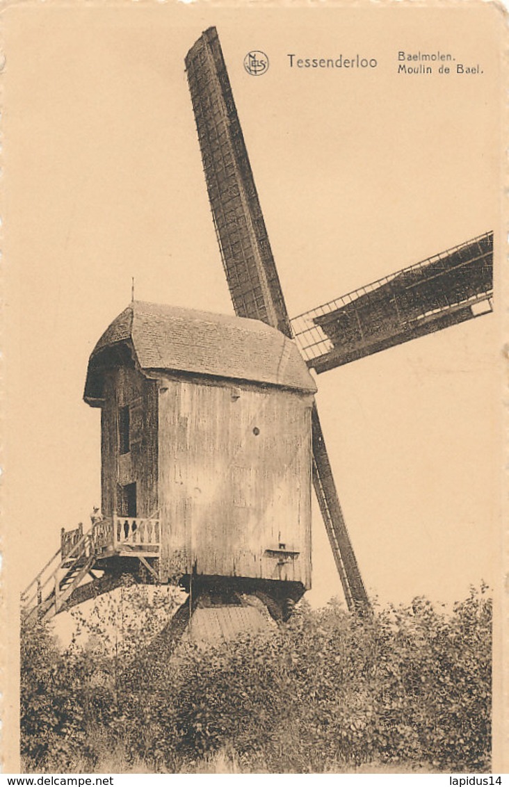 AN 195  / C P A  TESSENDERLOO  MOULIN DE BAEL - Tessenderlo