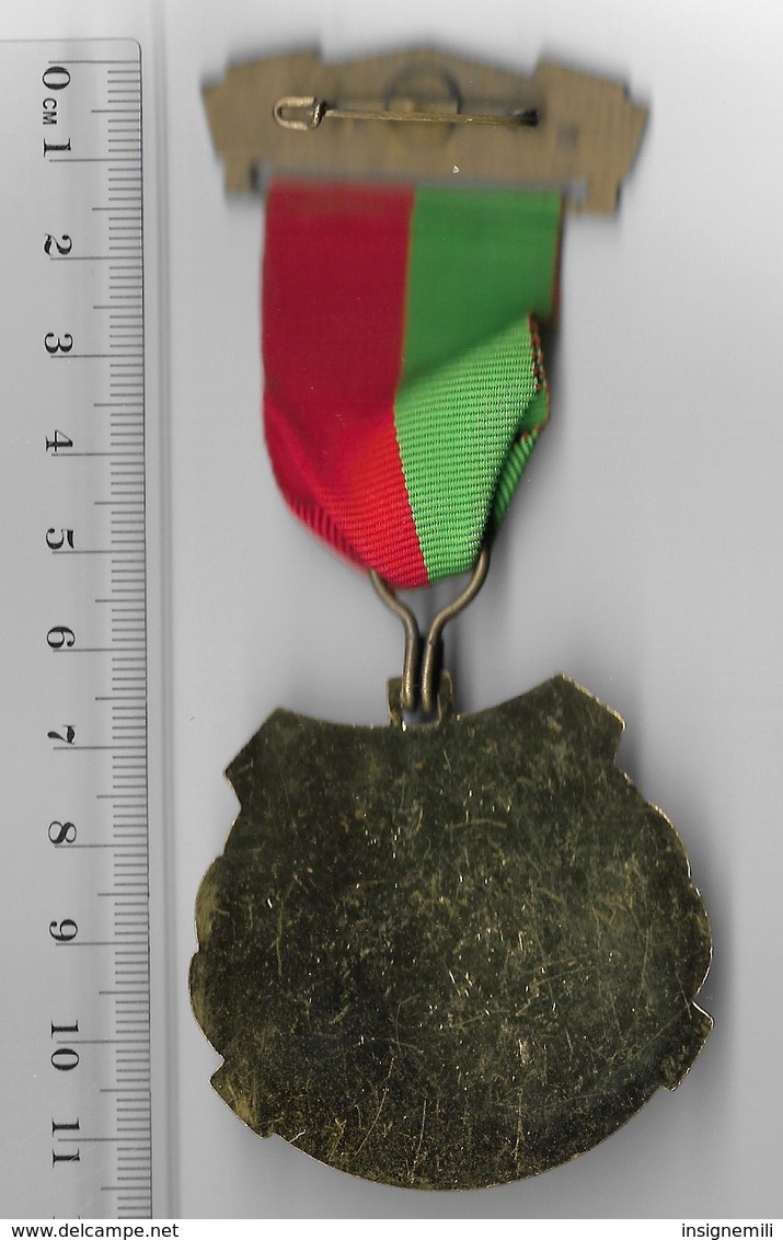 MEDAILLE Marche Populaire Organisée Par Le 110° RI En Allemagne En 19174 - DONAUESCHINGEN - France