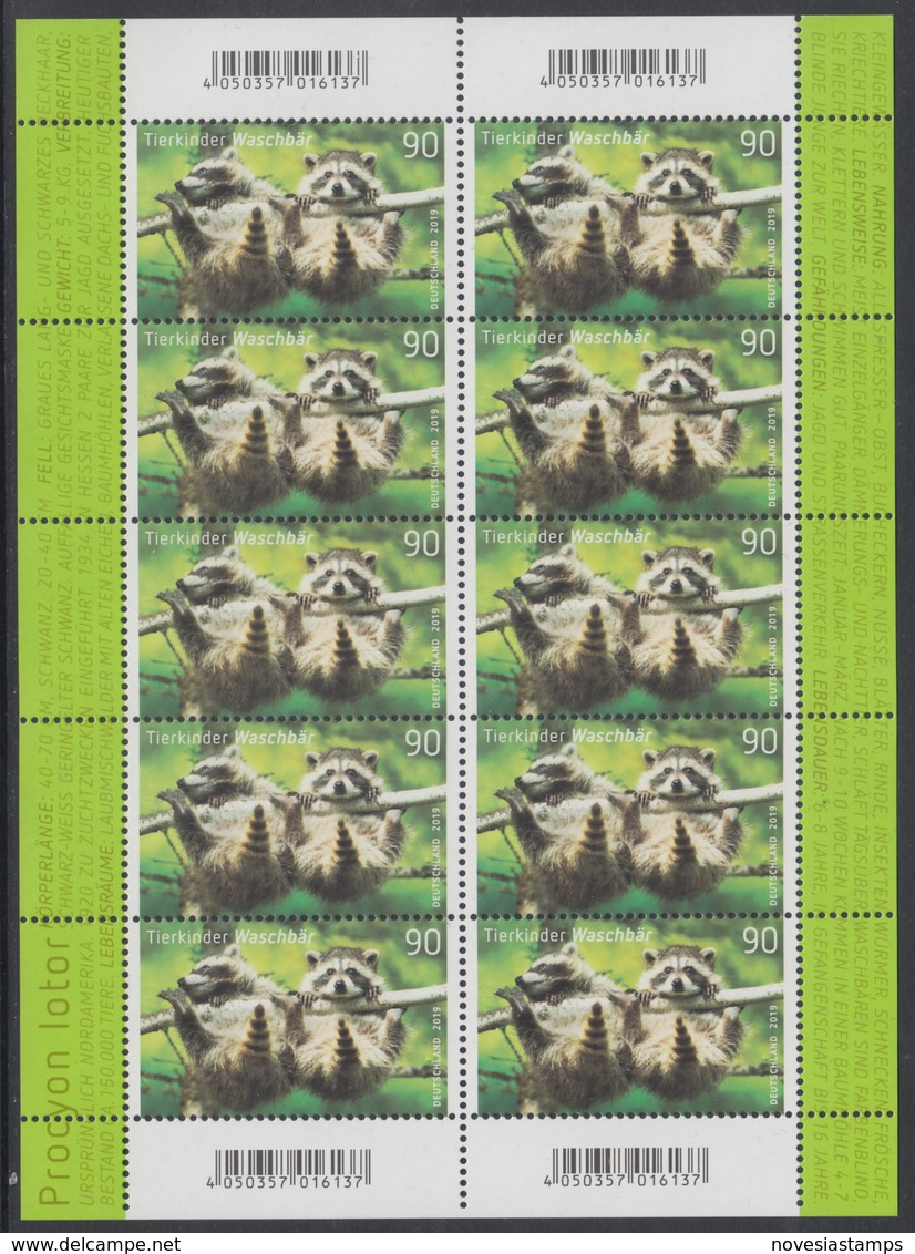 !a! GERMANY 2019 Mi. 3434 MNH SHEET(10) - Juvenile Raccoons - 2011-2020