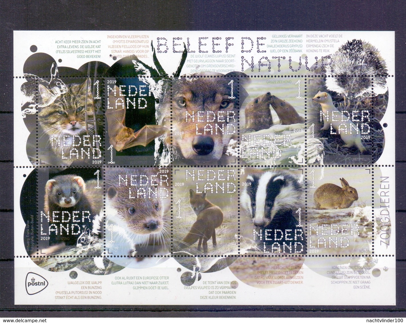 FG293b FAUNA ZOOGDIEREN KAT VLEERMUIS CAT VOS BAT WOLF SEAL OTTER FOX BADGER HARE MAMMALS WILDLIFE NEDERLAND 2019 PF/MNH - Wild