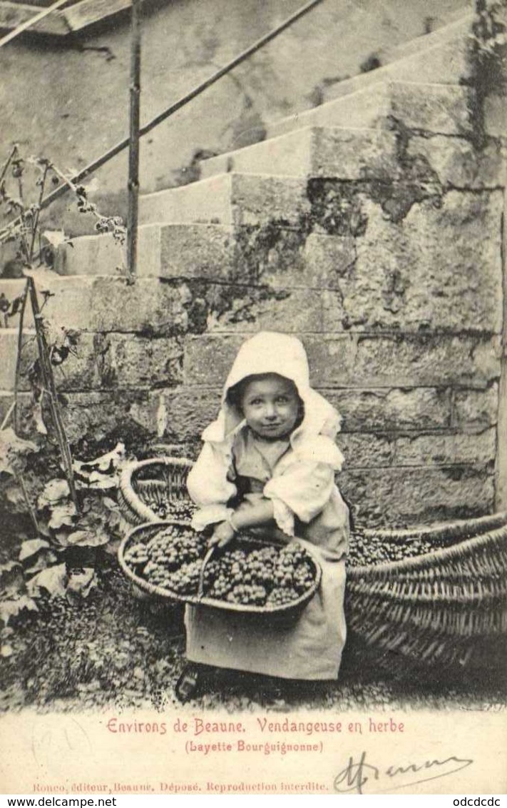 Environs De Beaune Vendangeuse En Herbe (Layette Bourguignonne) RV - Autres & Non Classés